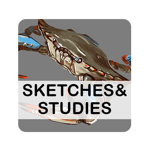 Sketches &amp; Studies