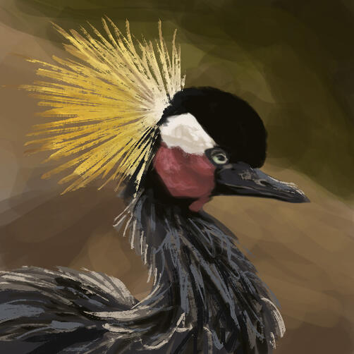 Crowned crane